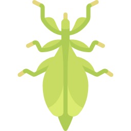 Leaf insect icon