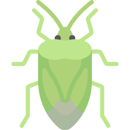 Bug icon