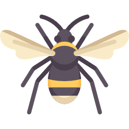 Bee icon