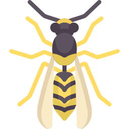 Wasp icon