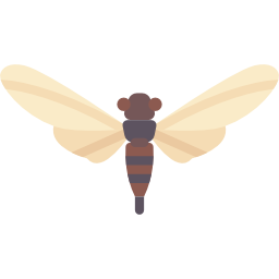 Bug icon