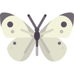 papillon Icône