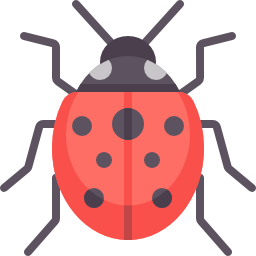 coccinelle Icône