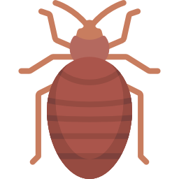 Bedbug icon