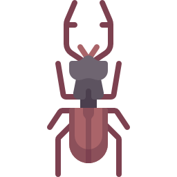 Beetle icon