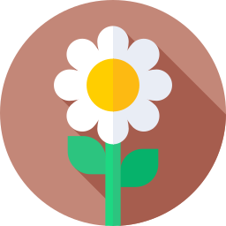 blume icon