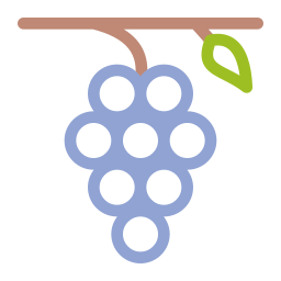 Grape icon