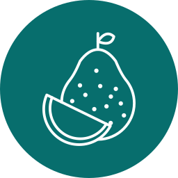 Pomelo icon