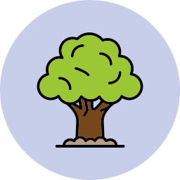 Oak icon