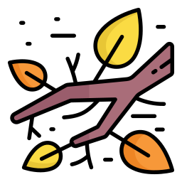 Branch leaves icon