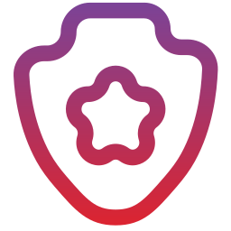 shield icon