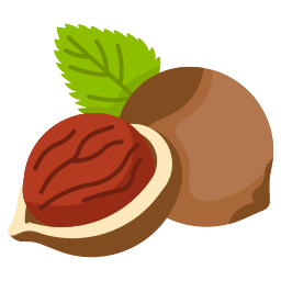 Hazelnut icon