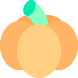 Pumpkin icon