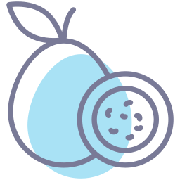 Passion fruit icon