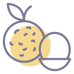 Lychee icon