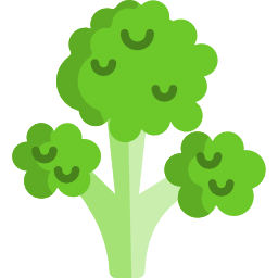 Broccoli icon