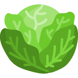 Cabbage icon