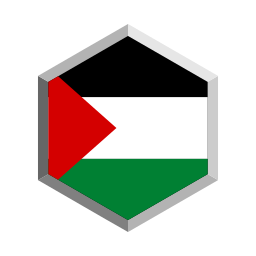 palestina icona