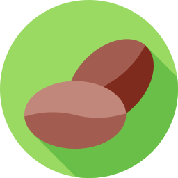 Coffee bean icon