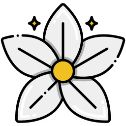 Jasmine icon