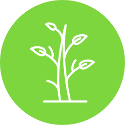 Branch icon