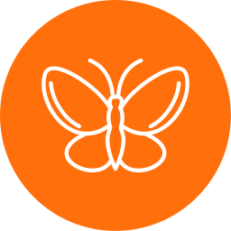 Butterfly icon