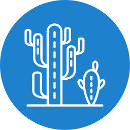 Cactus icon