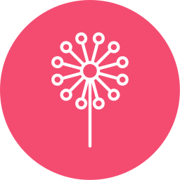 Dandelion icon