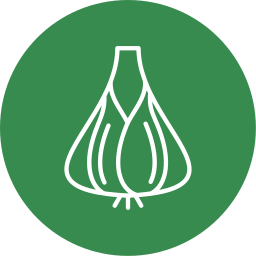 Garlic icon