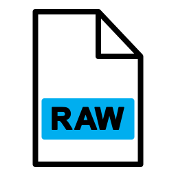 Raw file icon