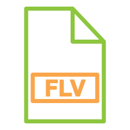 Flv file icon