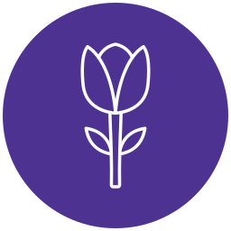 Tulip icon