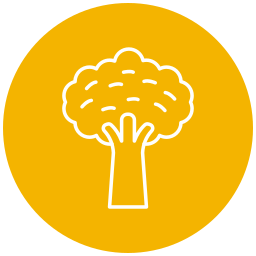 Tree icon