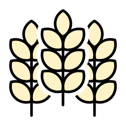 小麦 icon