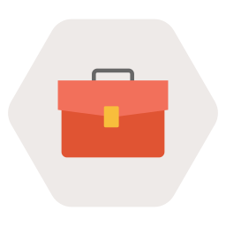 Portfolio icon