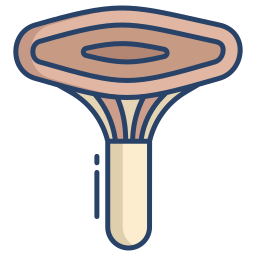 Mushroom icon