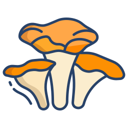 Mushroom icon