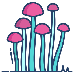 Mushroom icon