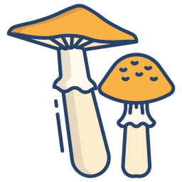 Mushroom icon