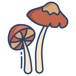 Mushroom icon