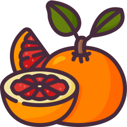 grapefruit icon