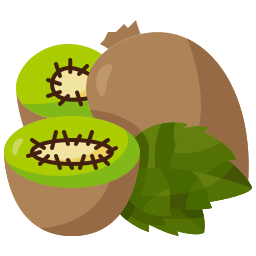 Kiwi icon