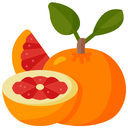 Grapefruit icon