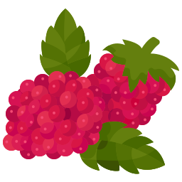 Raspberry icon