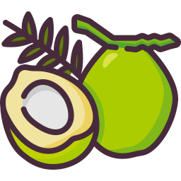 Coconut icon