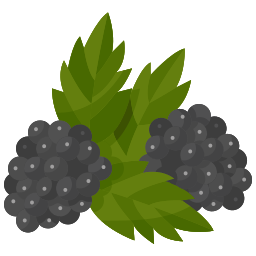 Blackberry icon