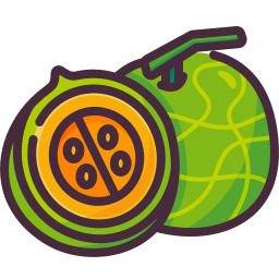 Cantaloupe icon