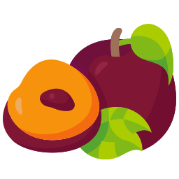 Plum icon