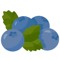 Blueberry icon