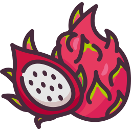 Dragon fruit icon